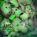A.M.S. - Fliegenwiese