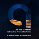 BOB HOWARD - True North (Sharapov Remix)