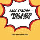 Bass Station - Secret Bass (Original Mix)