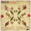 Haze-M - Intrigue (Tamer Malki Lost & Found Remix)