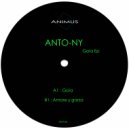 ANTO-NY - Amore Y Garza (Original mix)