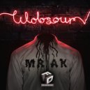 Wobsour - Mrak (Original Mix)