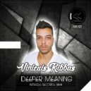 Vinicius Ribbas - Slide (Original Mix)