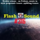 SVnagel (Olaine\\Latvia ) - Flash Sound #316 ()