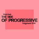 Volchek - The side of progressive 014 (fragment 014)