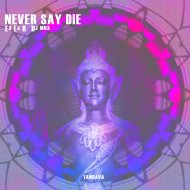 Ex Ex R And Dj Mnx - Never Say Die
