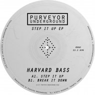 Harvard Bass - Break It Down