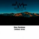 Dima Mardmian - Limitless stress