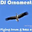 DJ Ornament - Flying Drum & Bass 6