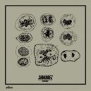 Shwarez - Messengers