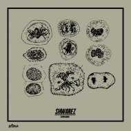Shwarez - Muros De Jerico