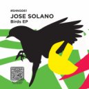 Jose Solano - Tropical Forest (Original Mix)