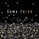 Shuma - Na Mory Vutka Kupalasia (Original Mix)