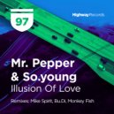 Mr. Pepper & So.young - Illusion Of Love (Bu.Di Remix)