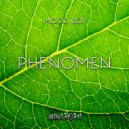 Moog Boy - Phenomen (Original Mix)
