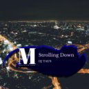 DJ Taus - Strolling Down (Original Mix)