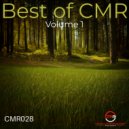 Badr Ghilani - Convenant (Joshlane Remix)