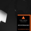 Pete Petrishchev - The Elementary Particle