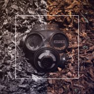Lospicos - Rebels