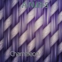 A-NUBI-S - Chameleon (Original Mix)