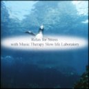 Music Therapy Slow Life Laboratory - Klimt & Refresh (Original Mix)