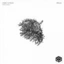 Fabio Stingo - Primal Riddle