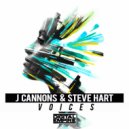 J CANNONS, Steve Hart - Voices (Afrofunkup)