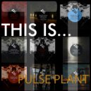 Pulse Plant - What You Wanted (Original Mix)