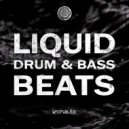 Kralbies - Minotaur (Radio Edit)