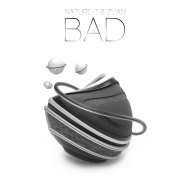 Nature-T & DJ Zvan - Bad