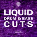 Vincent Routing - Lakeside (Luke Odard Radio Edit)