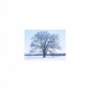 Mindfulness Healing BGM Project - Freesia & Refresh (Original Mix)