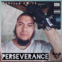 Hybreed eM-16 - Perseverance (Original Mix)