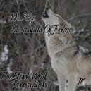 Mr. Rog - The Results Of Techno