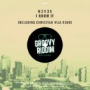 R3V3S - I Know It