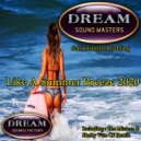 Dream Sound Masters feat Jonathan Reichling - Like A Summer Breeze 2020 (Radio Edit)
