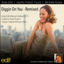 Andy Edit & Soulful French Touch & Michelle Rivera - Diggin On You