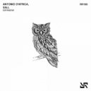 Antonio d'Africa, SALL - Expansive