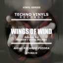 Ricardo Piedra - Wings Of Wind (Original Mix)