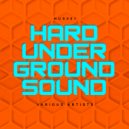 Vinylgroover & The Red Hed - Filthy Rock Chic (Original Mix)