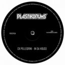 Ck Pellegrini - In Da House (Original Mix)
