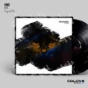 VinS - E.V.E