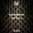 David Bitton - Not Connected (Original Mix)