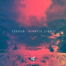 TESSUB - Slippage