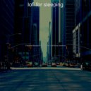 lofi for sleeping - Echoes of All Night Study Sessions
