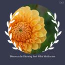 Bailey Bell - Beguiling Positive Energy (Original Mix)