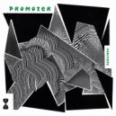 Promoter - Cogitate 2