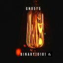 GNO5Y5 - Binary10101