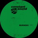 Burnski - Systems (Original Mix)
