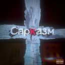 Доппельгангер - Сарказм (prod by svngx)